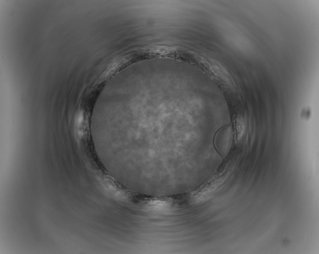 X0000097600236200803071435
