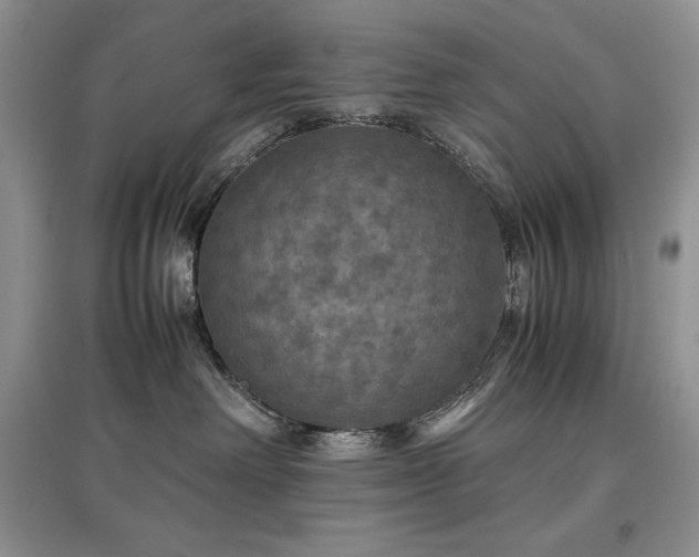 X0000097600238200803071435