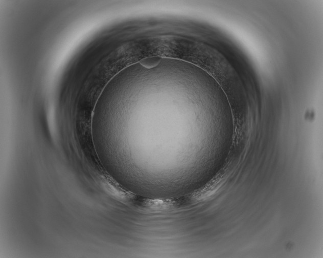 X0000097600239200803071435