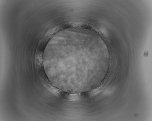 X0000097600240200803071435