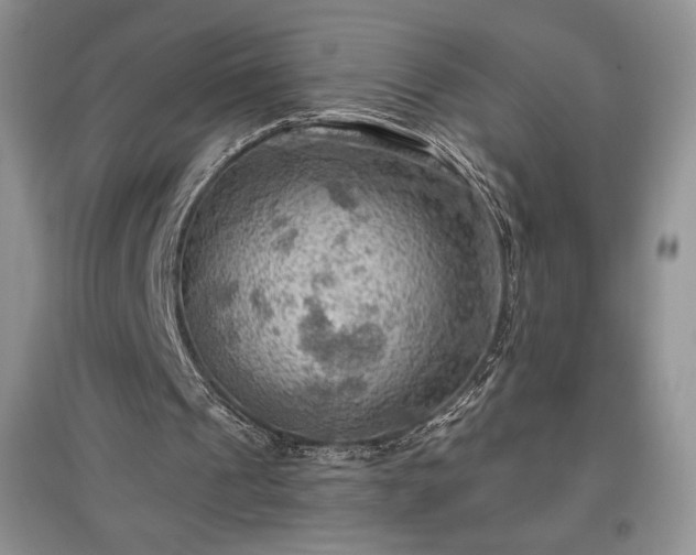 X0000097600241200803071435