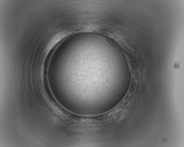 X0000097600242200803071435