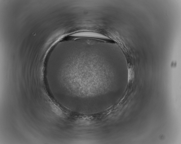 X0000097600243200803071435