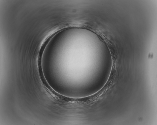 X0000097600244200803071435