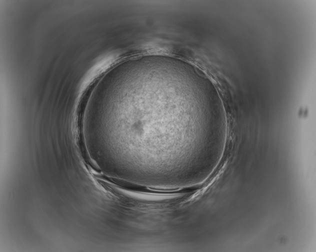 X0000097600245200803071435