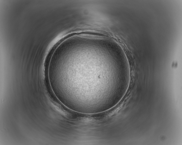 X0000097600246200803071435