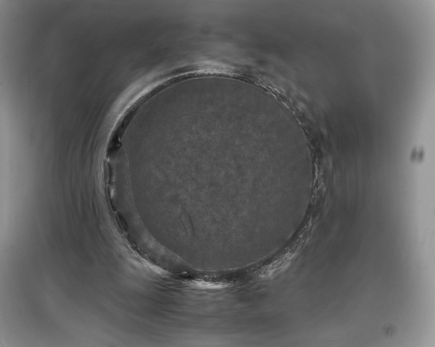 X0000097600247200803071435