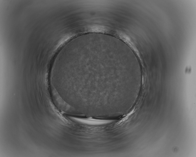 X0000097600249200803071435