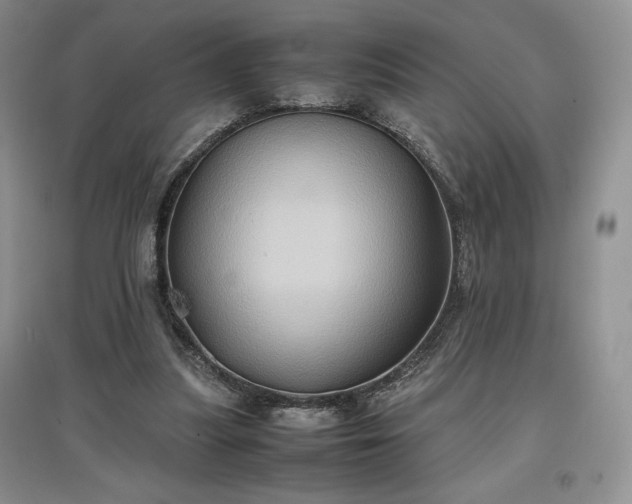 X0000097600251200803071435