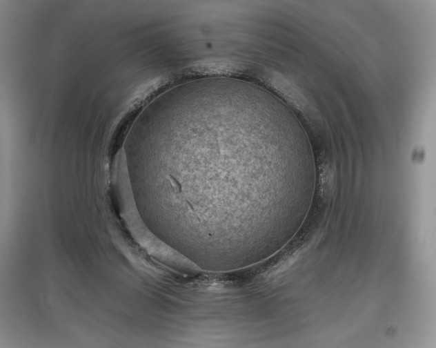 X0000097600254200803071435