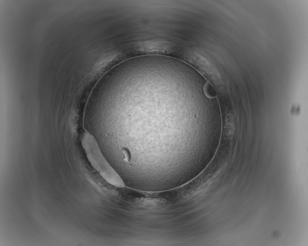 X0000097600255200803071435