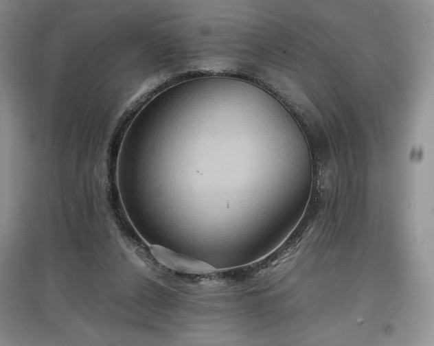 X0000097600256200803071435