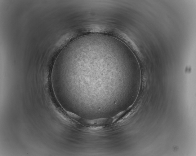 X0000097600257200803071435