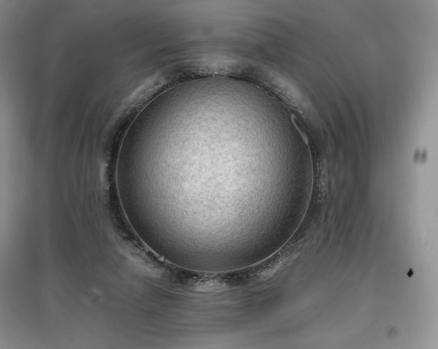 X0000097600258200803071435