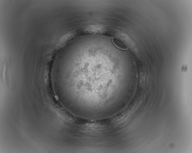X0000097600259200803071435