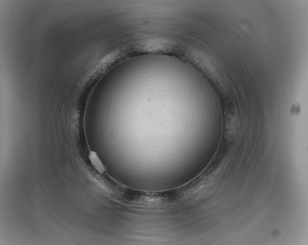 X0000097600260200803071435