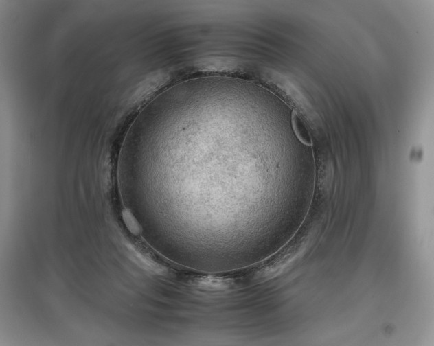 X0000097600261200803071435