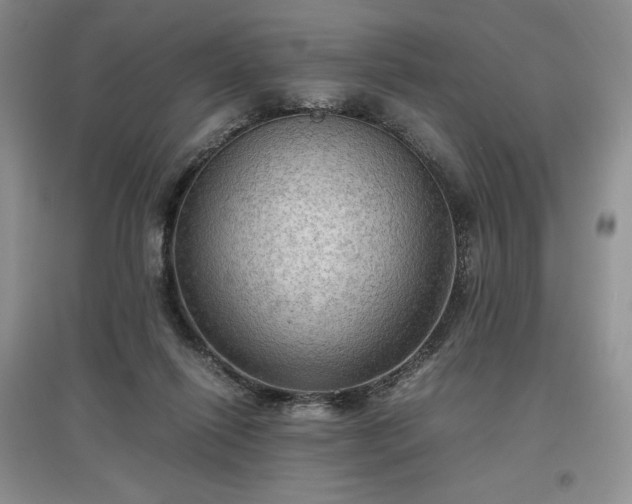 X0000097600262200803071435