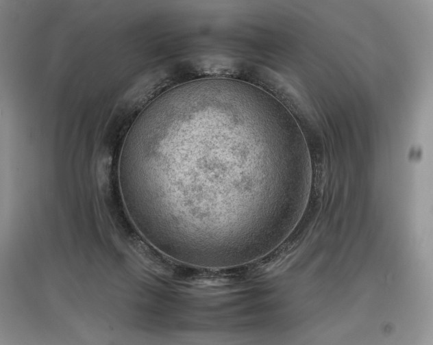 X0000097600263200803071435
