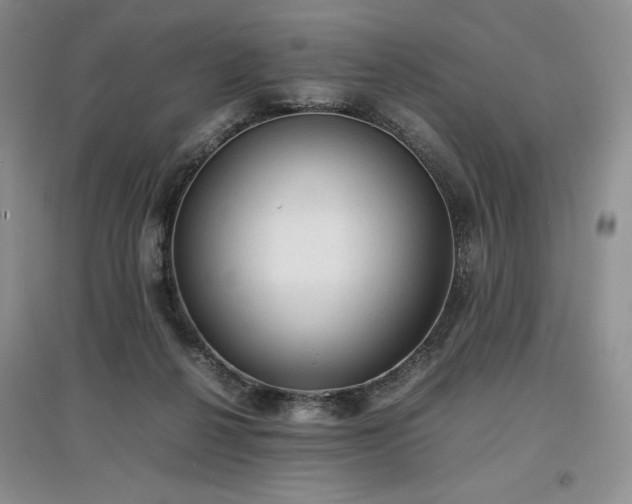 X0000097600264200803071435