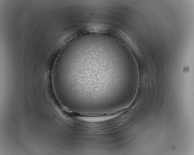 X0000097600265200803071435