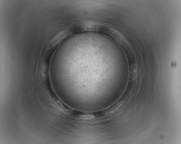 X0000097600266200803071435