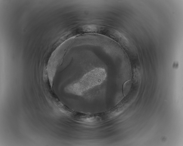 X0000097600267200803071435