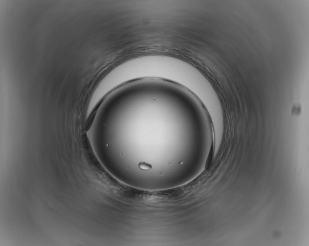 X0000097600268200803071435