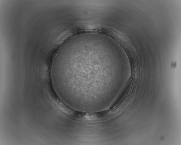 X0000097600270200803071435