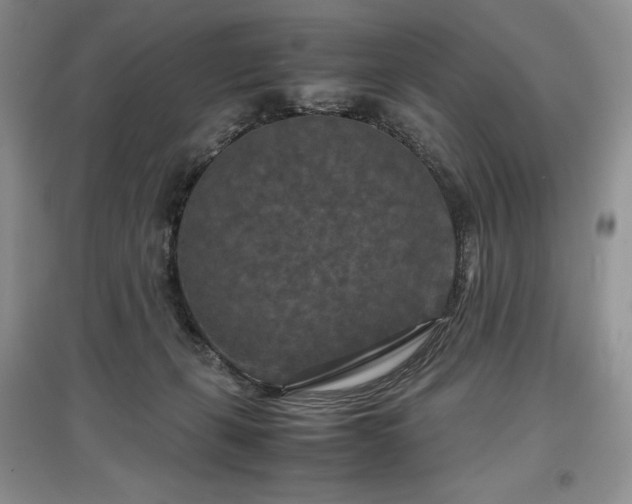 X0000097600271200803071435