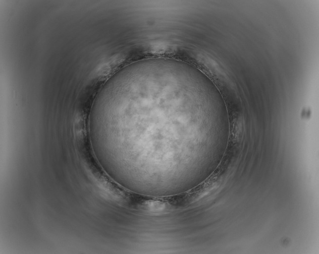 X0000097600272200803071435