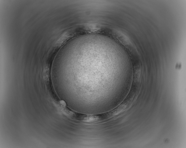 X0000097600274200803071435