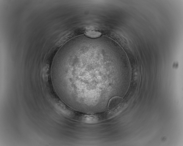 X0000097600275200803071435