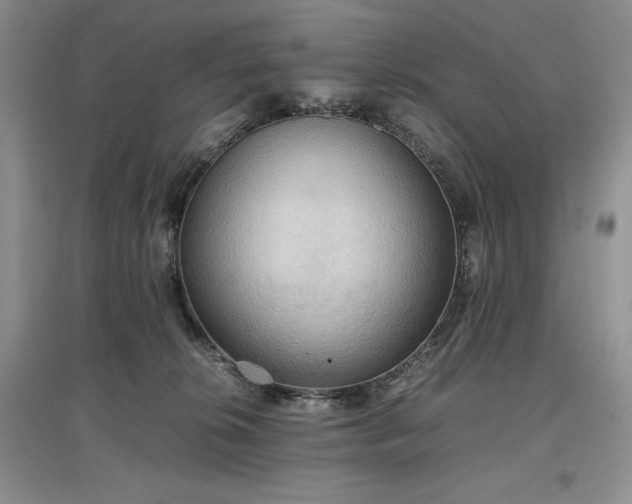 X0000097600276200803071435