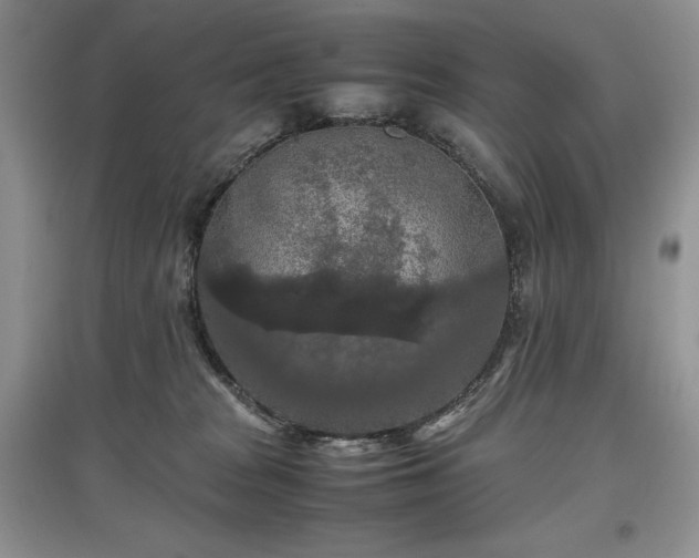 X0000097600277200803071435