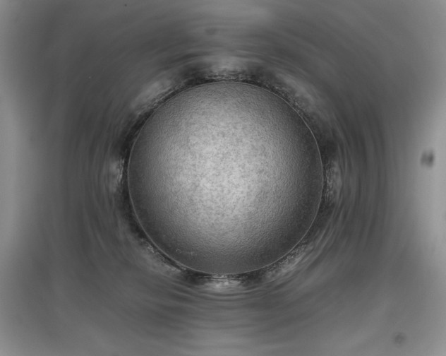 X0000097600278200803071435