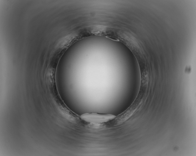 X0000097600280200803071435