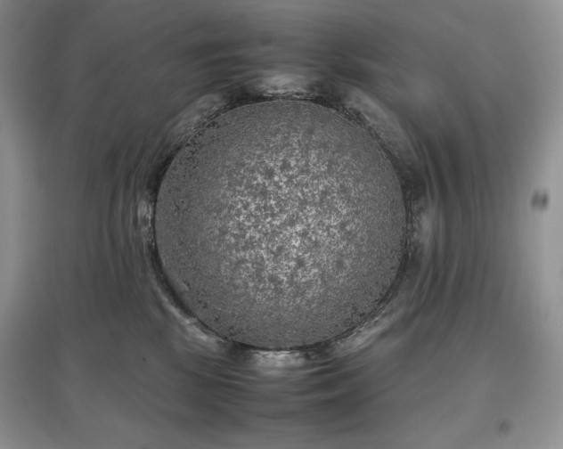X0000097600281200803071435