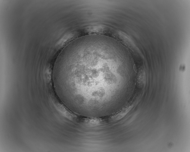 X0000097600282200803071435