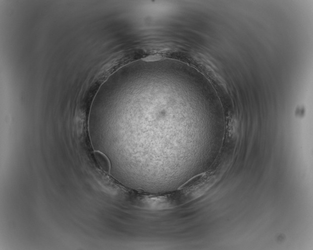 X0000097600283200803071435