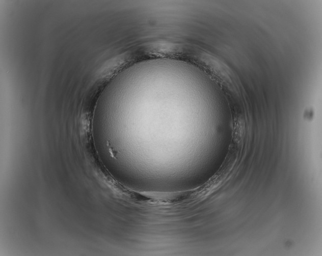 X0000097600284200803071435