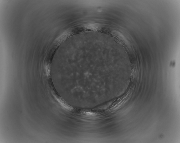 X0000097600285200803071435