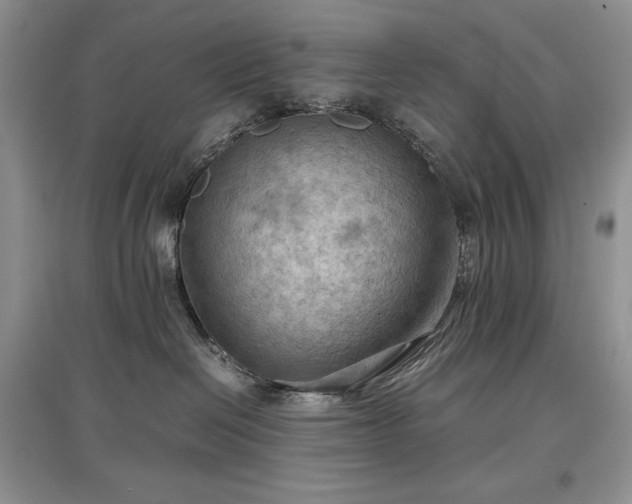 X0000097600286200803071435