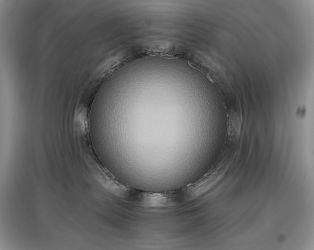 X0000097600287200803071435