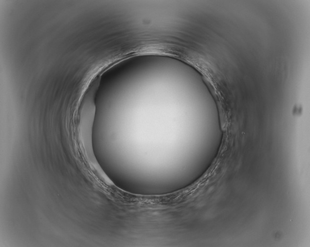 X0000097600289200803071435