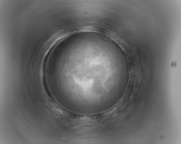 X0000097600290200803071435