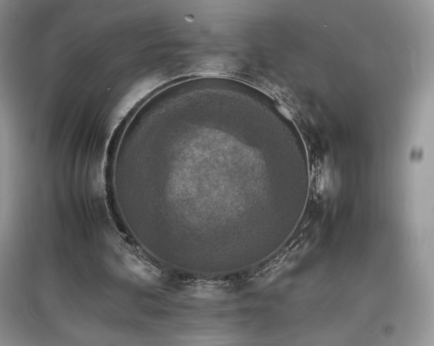 X0000097600292200803071435