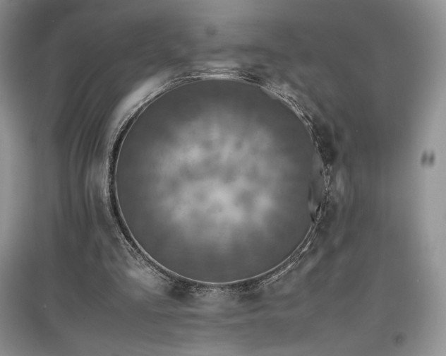 X0000097600293200803071435