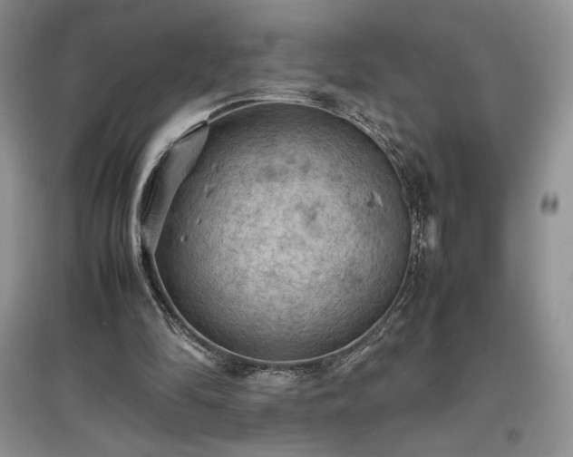 X0000097600294200803071435