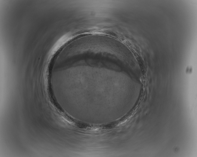 X0000097600295200803071435